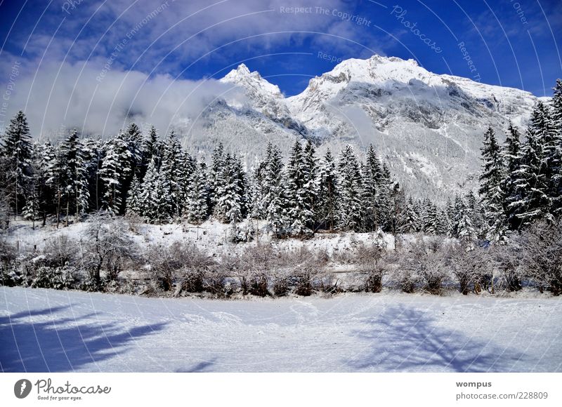 Augenweide Natur Landschaft Pflanze Himmel Wolken Schönes Wetter Park Wiese Feld Wald Hügel Felsen Alpen Berge u. Gebirge Gipfel Schneebedeckte Gipfel blau