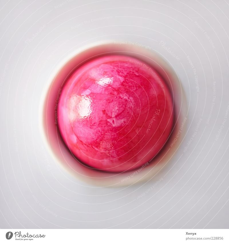 Ei Zen Lebensmittel Frühstück Ostern Zeichen rosa weiß Glück Fröhlichkeit Osterei Eierbecher Kreis Farbfoto Menschenleer Vogelperspektive Farbe Hühnerei