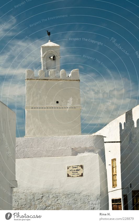 Kairouan Ferne Himmel Wolken Sommer Tunesien Altstadt Menschenleer Haus Architektur Moschee Mauer Wand Fassade Zeichen Schilder & Markierungen blau weiß