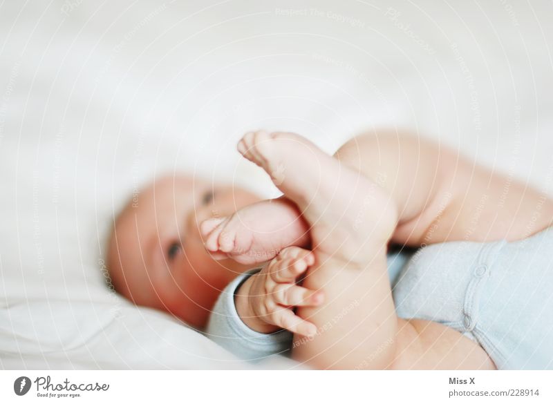 Käsefüßchen Mensch Baby Finger Beine Fuß 1 0-12 Monate Fröhlichkeit Glück hell positiv weiß Beginn Kindheit Leben greifen Farbfoto Gedeckte Farben Innenaufnahme