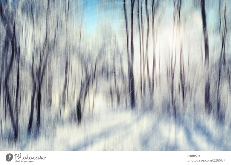 ein Wintertag Natur Landschaft Schönes Wetter Eis Frost Schnee Baum Wald außergewöhnlich Coolness kalt Farbfoto Außenaufnahme abstrakt Menschenleer Tag Licht