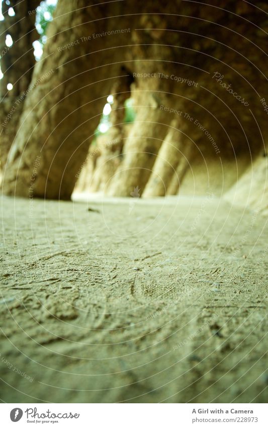 biting the dust Sand Barcelona Sehenswürdigkeit Park Güell Stein Bogen Boden Außenaufnahme Menschenleer Textfreiraum unten Schwache Tiefenschärfe Sightseeing