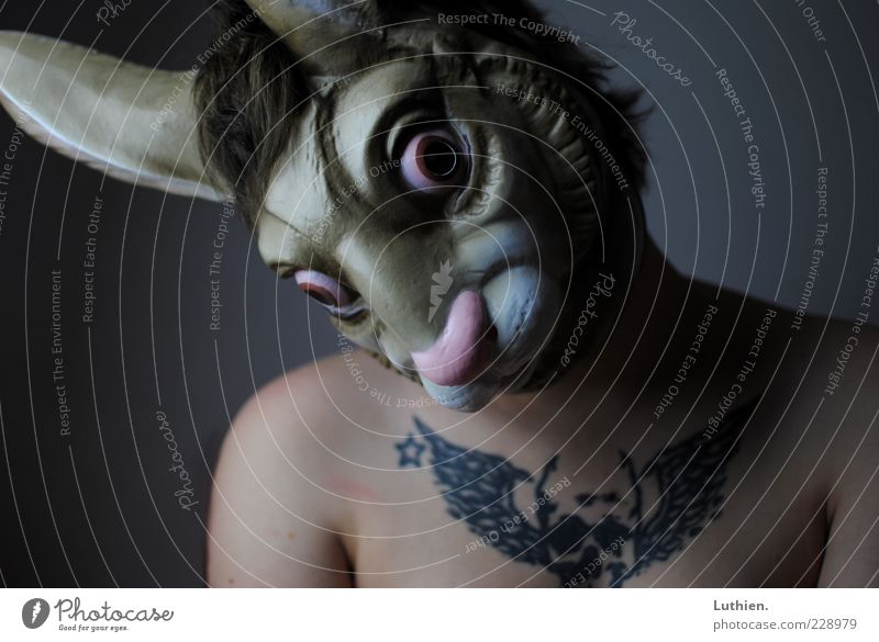 Möhrchen? Mensch Frau Erwachsene Haut Brust 1 Maske Hase & Kaninchen Blick außergewöhnlich gruselig kalt blau braun grau Wachsamkeit Karneval Farbfoto