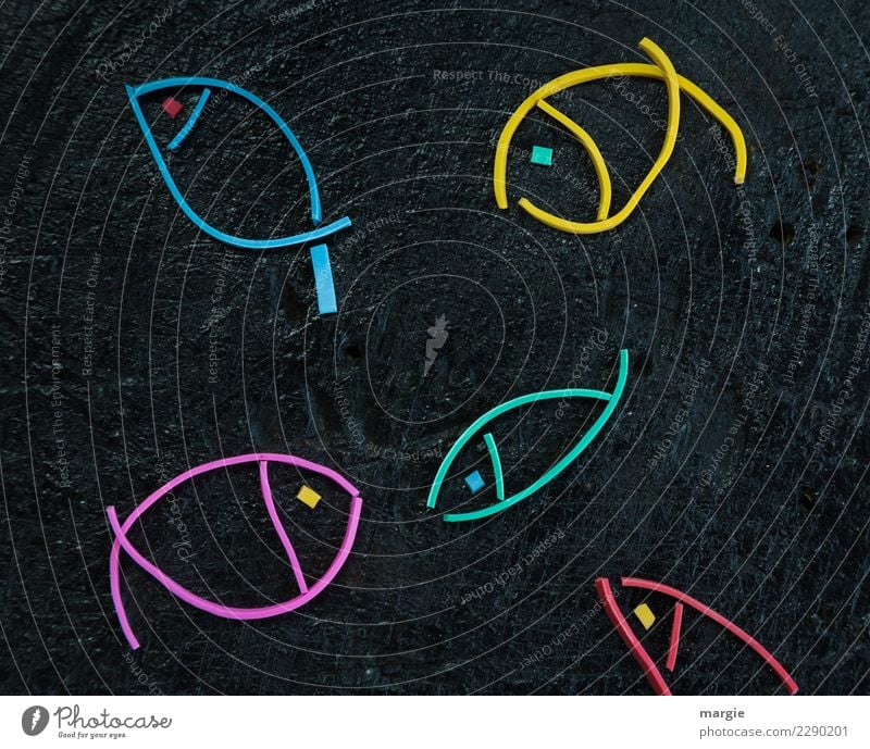 Gummiwürmer: Collage Fische Ernährung Bioprodukte Wasser Tier Nutztier Tiergesicht 4 Tiergruppe Schwimmen & Baden mehrfarbig schwarz Tierliebe Teich See Meer