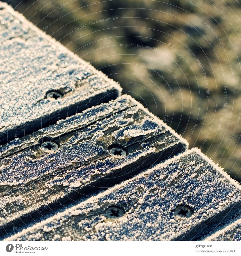eiskalt Winter Klima Wetter Eis Frost Schnee Schraube Metallwaren Holz Holzbrett Holzplatte gefroren Eiskristall klirrende Kälte Farbfoto Außenaufnahme