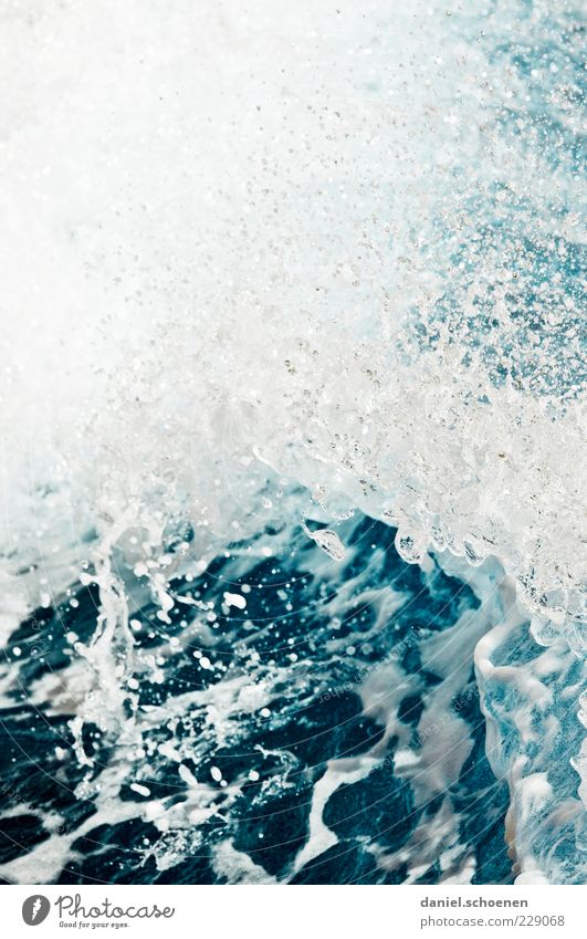 auf dem Weg nach Amrum Umwelt Natur Wasser Wassertropfen Meer Flüssigkeit nass blau weiß Wellen Starke Tiefenschärfe Menschenleer Gischt Wasserspritzer Brandung