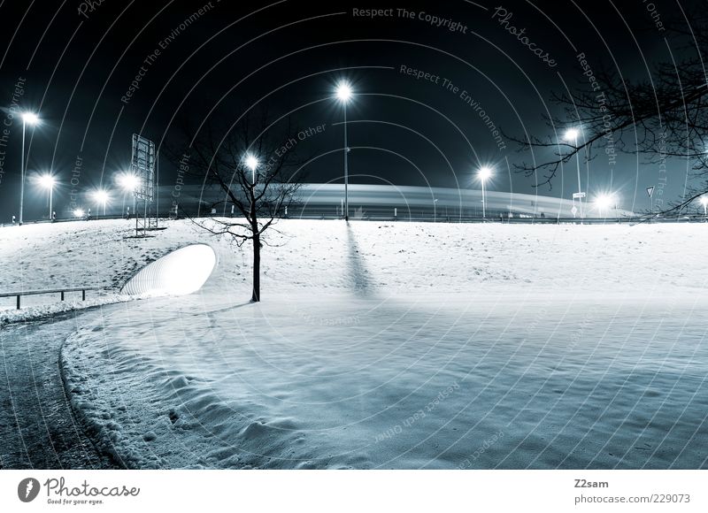 ruhestörer Umwelt Landschaft Nachthimmel Winter Eis Frost Baum Park Verkehrswege Straße Wege & Pfade Tunnel ästhetisch dunkel einfach kalt ruhig Einsamkeit