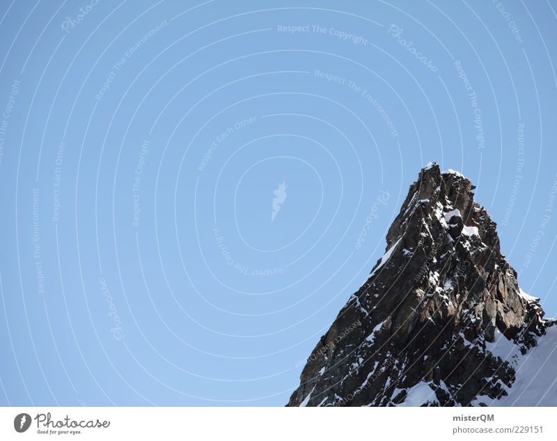 Der Gipfel. Umwelt Natur Landschaft Berge u. Gebirge Bergkamm Bergkuppe hoch Ende Himmel oben Freiheit Freiraum ruhig abgelegen Österreich Alpen Ziel Überblick