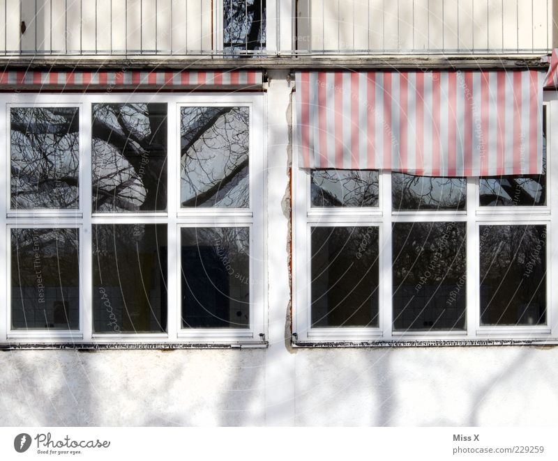 Domizil Haus Gebäude Fenster alt Unbewohnt Jalousie Stoffmuster Reflexion & Spiegelung Baum Farbfoto Außenaufnahme Detailaufnahme Muster Menschenleer