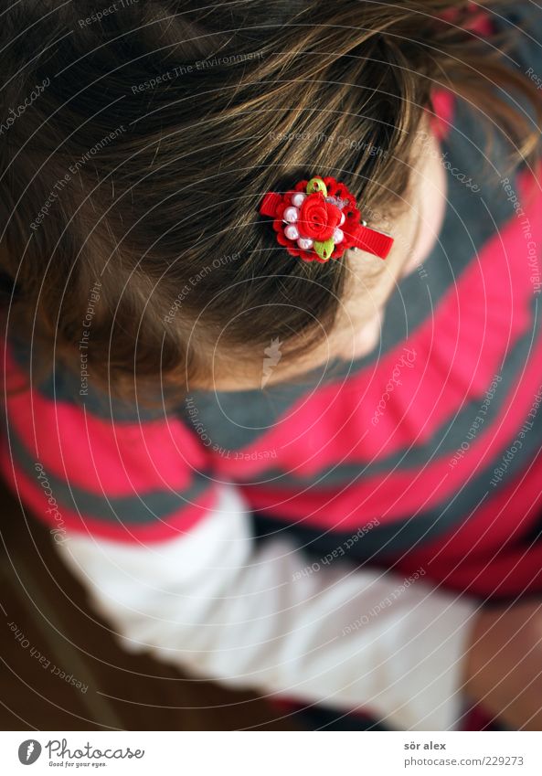 schick Mensch Kleinkind Mädchen Kindheit Kopf Haare & Frisuren Arme 1 3-8 Jahre Bekleidung Kleid Stoff Accessoire Schmuck Haarspange Perle brünett blond träumen