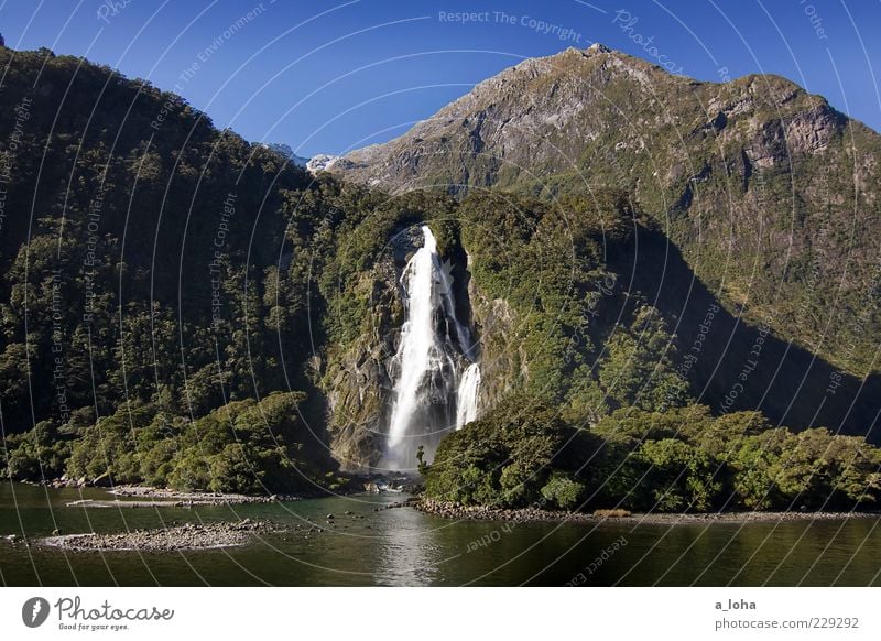 piopiotahi Natur Landschaft Urelemente Wasser Wolkenloser Himmel Pflanze Felsen Berge u. Gebirge Küste Fjord Wasserfall außergewöhnlich Bekanntheit Fernweh