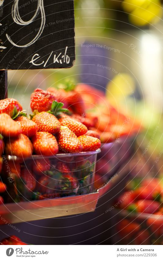 Susan's Strawberries Lebensmittel Frucht Erdbeeren Ernährung Bioprodukte Vegetarische Ernährung verkaufen frisch Gesundheit rot süß Vitamin Schalen & Schüsseln