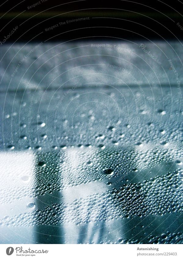 Scheibenkleister? Umwelt Wasser Wassertropfen Wetter schlechtes Wetter Regen Eis Frost Fenster Holz Glas hoch kalt blau schwarz weiß Tropfen Tau Punkt Linie