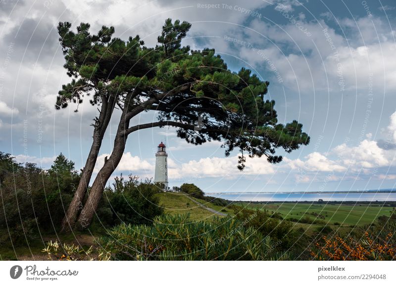 Leuchtturm auf der Insel Hiddensee Ferien & Urlaub & Reisen Tourismus Ausflug Umwelt Natur Landschaft Wasser Himmel Wolken Klima Wetter Wind Baum Wiese Hügel