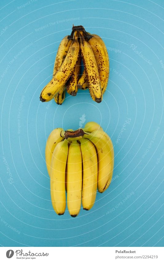 #AS# Zeit Kunst ästhetisch Banane Bananenstaude Bananenschale Bananenplantage Bananenmagazin Bananenmilch vorher nachher frisch verdorben verfaulen Verfall