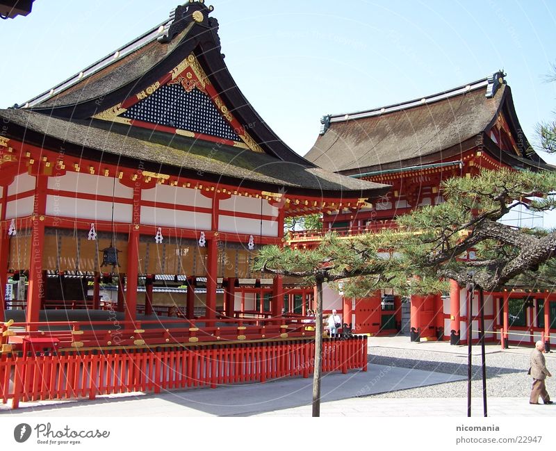 Tempel Japan Zen Bonsai Baum Tokyo