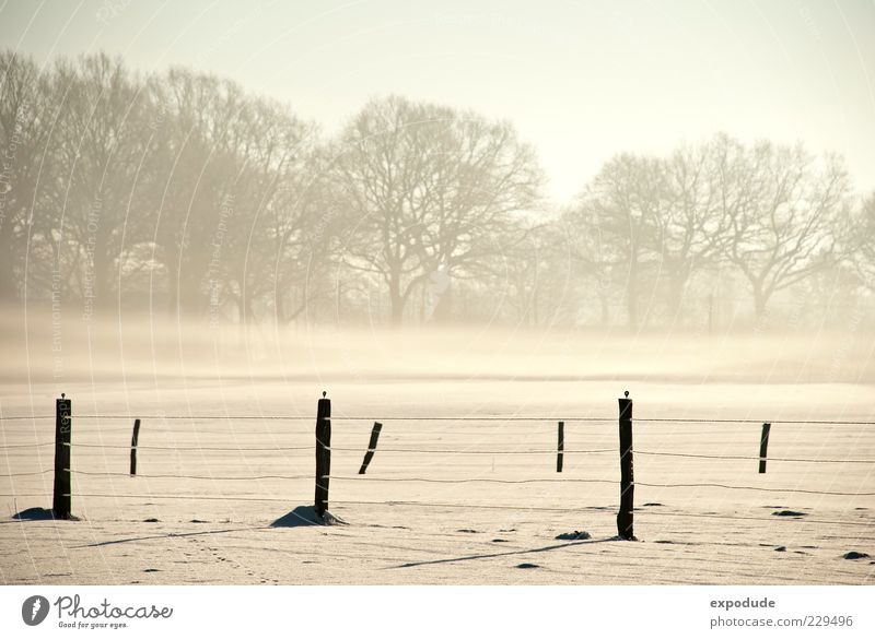 Winternebel Natur Landschaft Nebel Eis Frost Schnee Feld Stimmung Farbfoto Außenaufnahme Morgen Zaunpfahl Menschenleer Morgennebel Baum Nebelschleier Nebeldecke