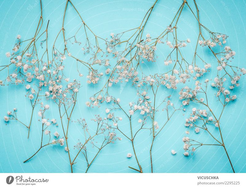 Kleine weiße Blumen auf türkis Stil Design Feste & Feiern Muttertag Hochzeit Geburtstag Natur Pflanze Dekoration & Verzierung Blumenstrauß blau Entwurf