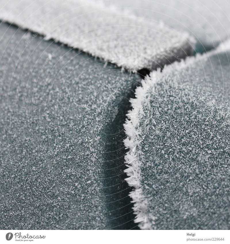 frostiger Morgen im März... Klima Wetter Eis Frost Metall Kunststoff frieren glänzend außergewöhnlich eckig einfach kalt rund grau weiß ästhetisch bizarr