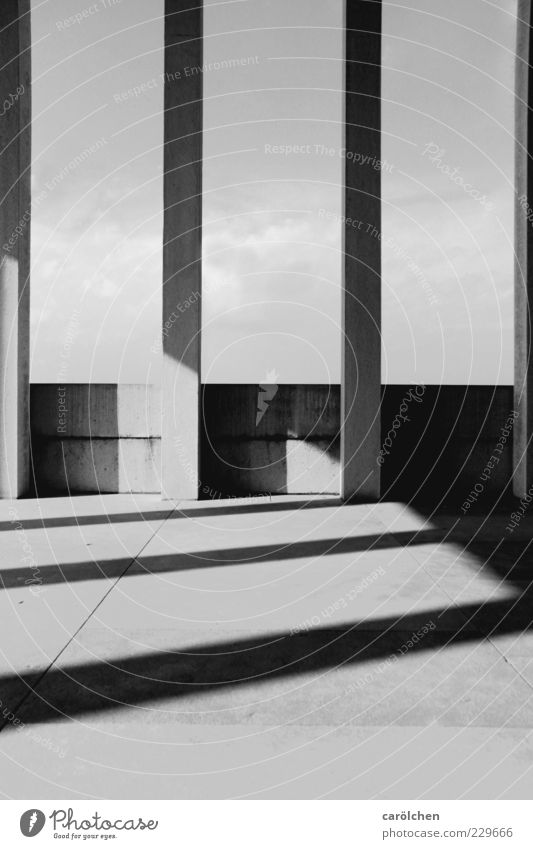 linien Mauer Wand grau schwarz weiß Säule Schattenspiel gerade elegant einfach Schwarzweißfoto abstrakt Strukturen & Formen Menschenleer Textfreiraum oben