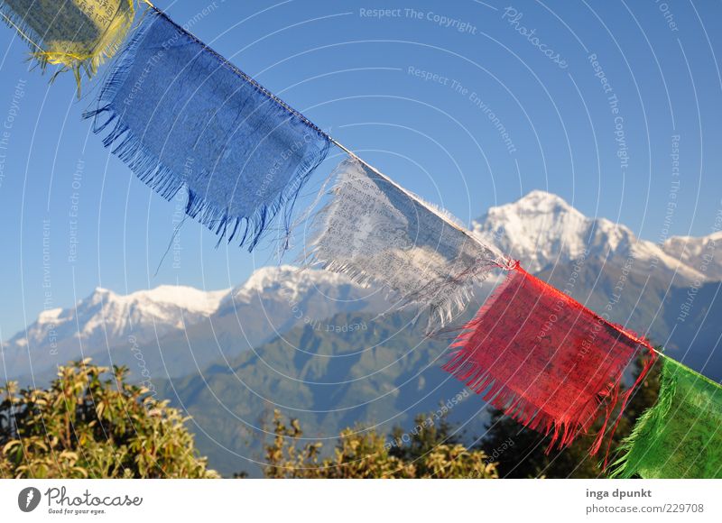 Morgenluft Ferne Berge u. Gebirge Umwelt Natur Landschaft Urelemente Schönes Wetter Wind Gipfel Schneebedeckte Gipfel Fahne Stoff Unendlichkeit kalt Klima Nepal