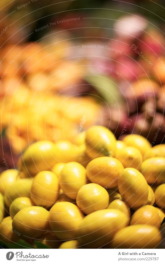 zitrig Lebensmittel Frucht Ernährung Bioprodukte Vegetarische Ernährung liegen außergewöhnlich exotisch Gesundheit saftig sauer mehrfarbig gelb Markt Markthalle