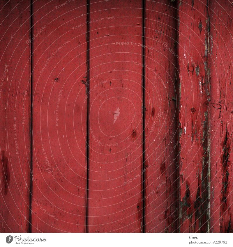 HH10.2 | Simply Red Tür Lack Holz alt ästhetisch kaputt nachhaltig rot Farbe Wand Holzwand parallel vertikal abblättern Farbstoff Holzbrett rustikal Farbfoto