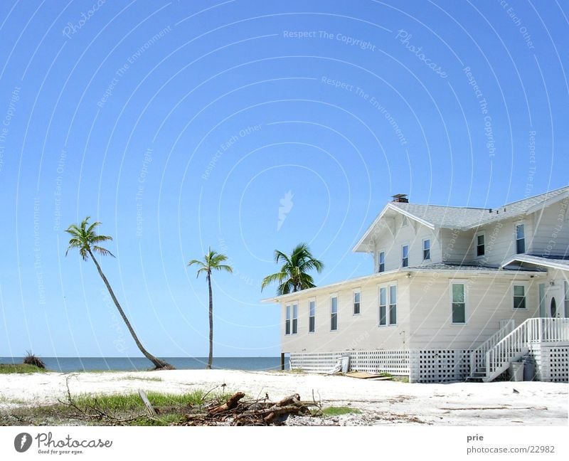 Strandhaus Haus Florida Palme weiß Sand Himmel Wolkenloser Himmel Schönes Wetter Blauer Himmel Klarer Himmel Palmenstrand Sandstrand Traumhaus Menschenleer