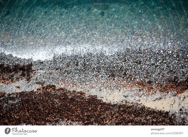 steinig | Ostseeküste Natur Landschaft Erde Wasser Wellen Küste Strand maritim braun grau grün Klippe Meer Stein Vogelperspektive Querformat Farbfoto