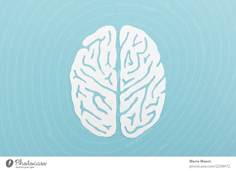 Gehirn-Silhouette als Papierschnitt lernen Kopf Denken ästhetisch rund blau weiß achtsam Bildung Erfahrung innovativ Inspiration Kreativität Leistung Netzwerk