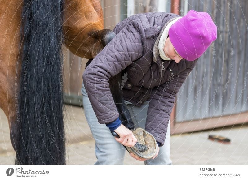 Arbeit am Pferd Lifestyle Glück Freizeit & Hobby Reiten Sport Reitsport Mensch Frau Erwachsene Leben 1 30-45 Jahre Jacke Mütze Tier Haustier Nutztier Hufkratzer