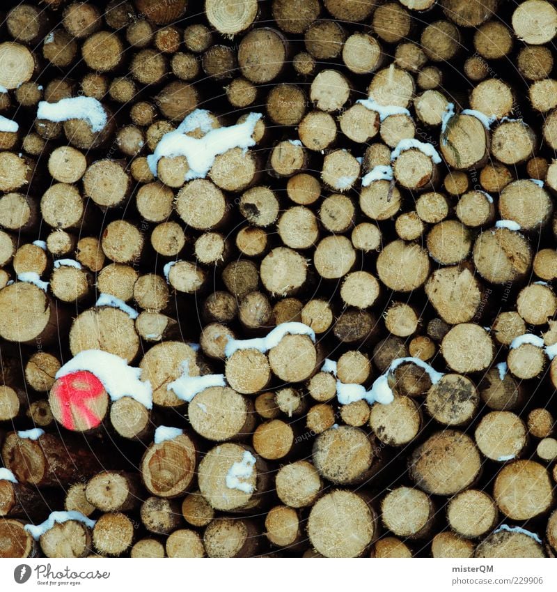 (R) Holz Baumstamm viele Muster Vorrat gefallen Umweltschaden Abholzung Klimawandel Holzstapel Stapel aufeinander Ordnung braun Ressource Forstwald rot Farbfoto