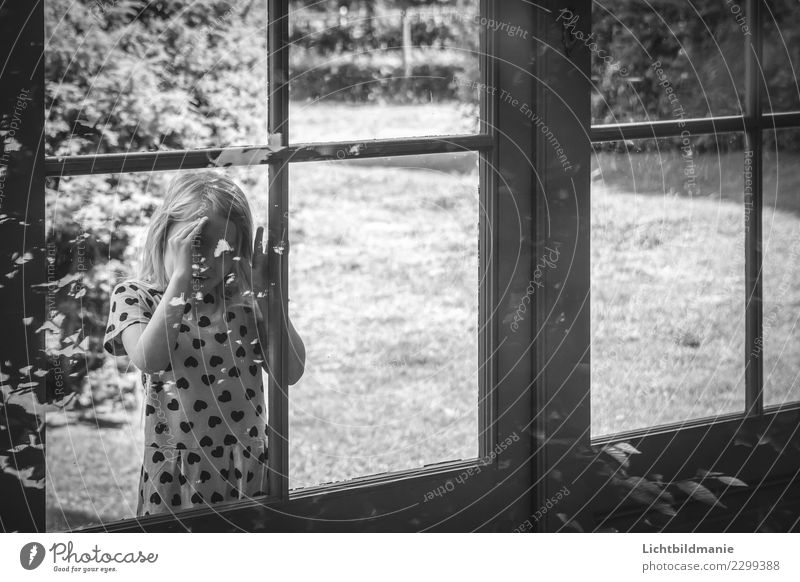 Mädchen schaut durch Fenster Spielen Kinderspiel Ausflug Abenteuer Sightseeing Sommer Wohnung Haus Garten Umzug (Wohnungswechsel) Spiegel Raum feminin Kindheit