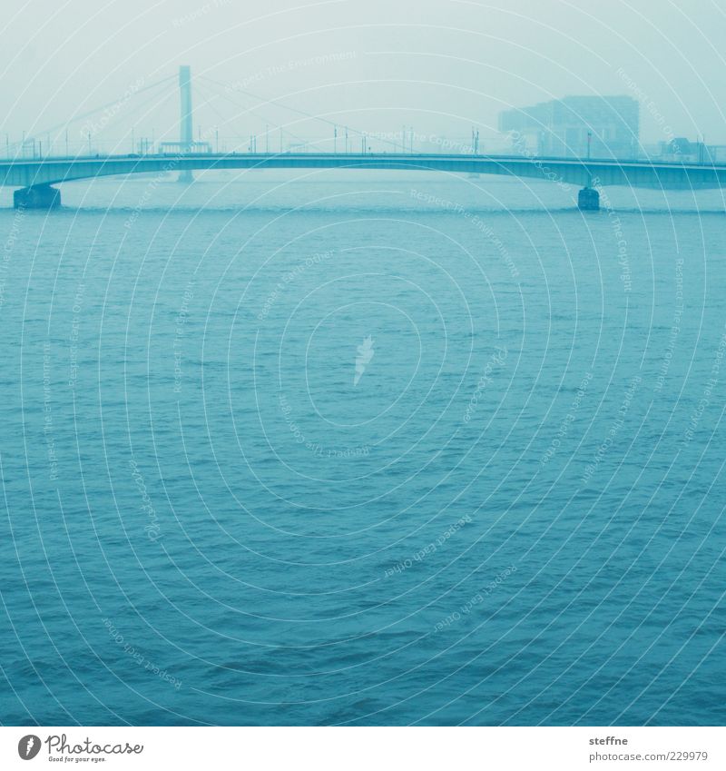 An der schönen blauen Donau Fluss Rhein Köln Köln-Deutz Brücke Wasser Deutzer Brücke Farbfoto Außenaufnahme Stadt Verkehrswege Dunst Nebel Wasseroberfläche