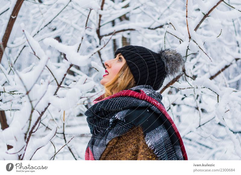 Schönes blondes Mädchen, gehend durch Winterwald Lifestyle Stil Freude Glück schön Haut Gesicht Schnee Frau Erwachsene 1 Mensch 18-30 Jahre Jugendliche Natur