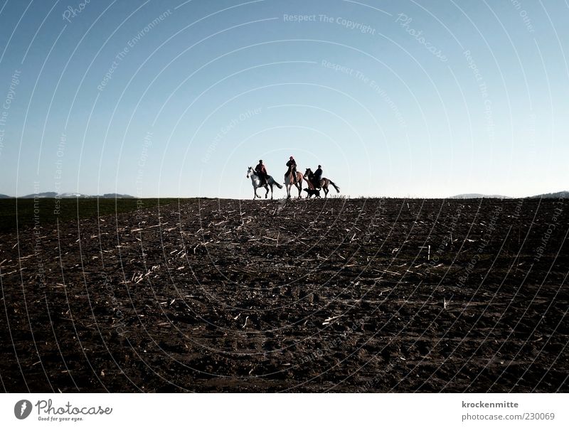 Steppenritt Reiten Natur Landschaft Feld Hund Pferd 4 Tier Tiergruppe frei blau braun Tierliebe Freiheit Menschengruppe Ferne Horizont Ausritt Pferdekopf karg