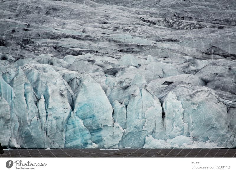 Gletscher Expedition Schnee Berge u. Gebirge Umwelt Natur Landschaft Urelemente Wasser Klima Klimawandel Wetter Eis Frost Küste außergewöhnlich fantastisch grau