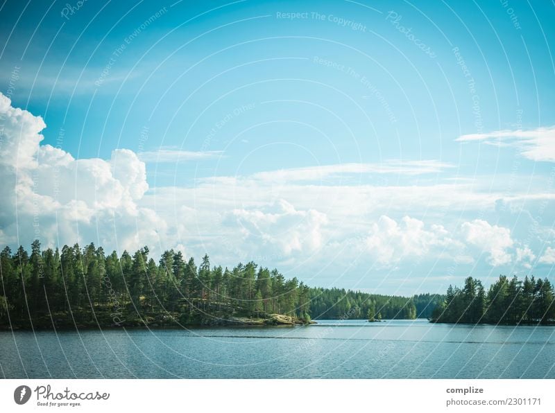 Ost-Finnland Ferien & Urlaub & Reisen Tourismus Freiheit Sommer Sommerurlaub Sonne Sonnenbad Strand Meer Insel Wellen Umwelt Natur Himmel Pflanze Baum Küste