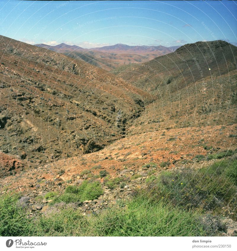 barranco de machin Ferne Umwelt Landschaft Sommer Klima Schönes Wetter Wärme Dürre Sträucher Hügel Felsen Insel Fuerteventura trocken Natur Mittelformat analog