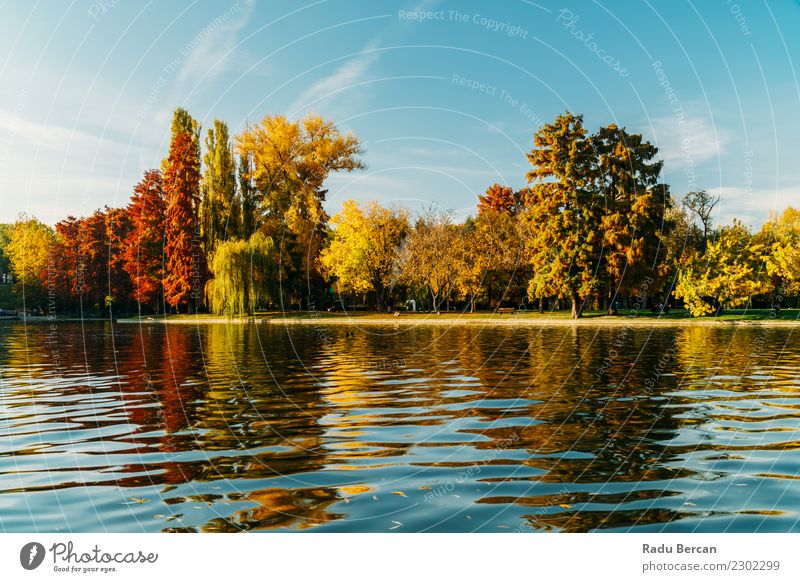 Herbstsaison in der Bukarester Parklandschaft Umwelt Natur Landschaft Wasser Himmel Wetter Schönes Wetter Baum Gras Wald Teich See schön natürlich blau