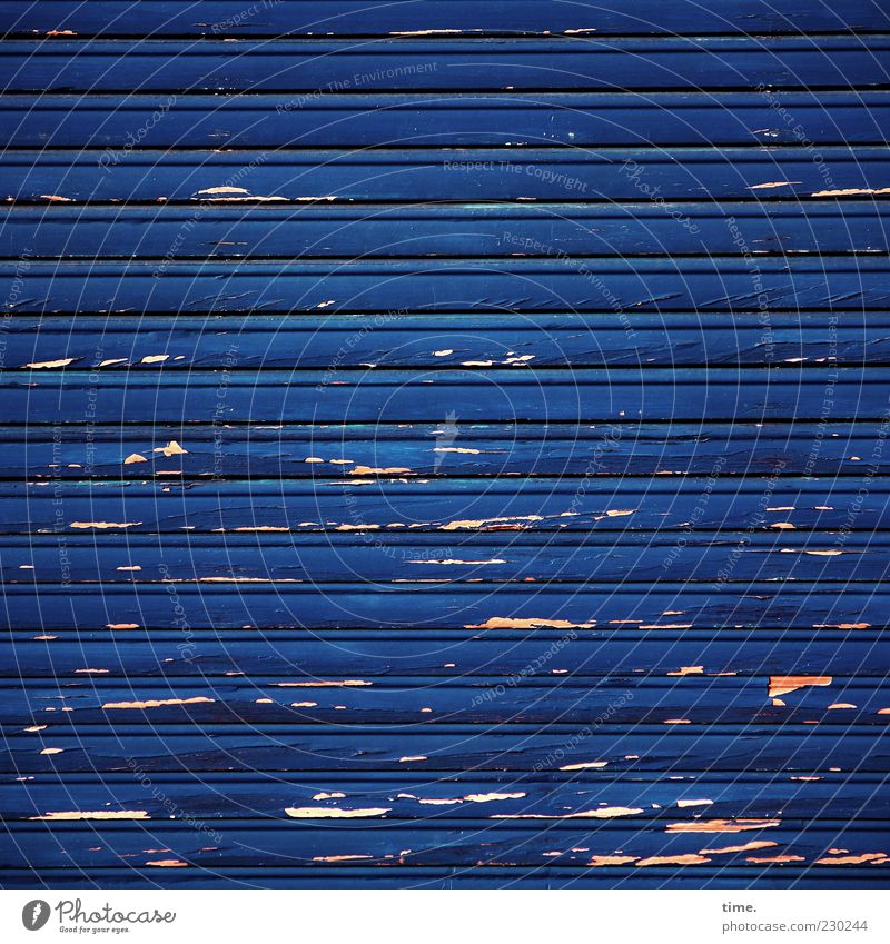 Lebenslinien #23 Lack Holz alt kaputt blau Farbe Jalousie Rollo Farbstoff abblättern parallel ausgebleicht Farbfoto Außenaufnahme Detailaufnahme Menschenleer
