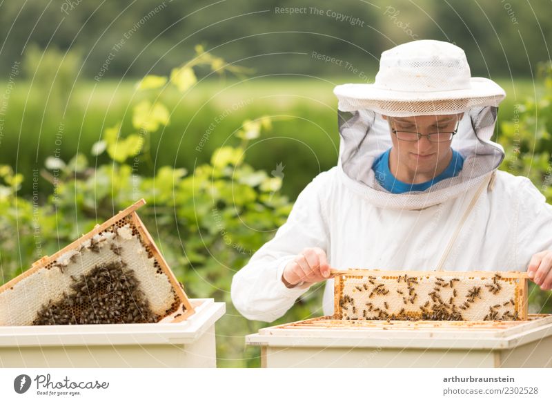 Junger Imker kontrolliert Bienenstock in der Ausbildung Lebensmittel Honig Ernährung Frühstück Gesunde Ernährung Freizeit & Hobby Berufsausbildung