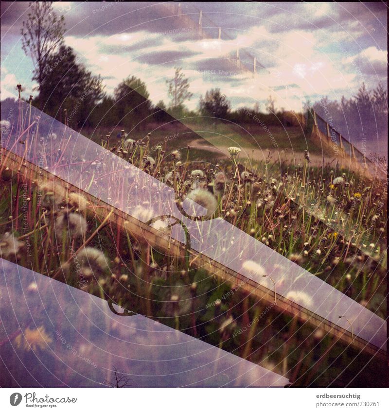 Tand, Tand - ist das Gebild von Menschenhand Ausflug Umwelt Natur Landschaft Himmel Wolken Frühling Klima Pflanze Blume Gras Wildpflanze Löwenzahn Wiese Brücke