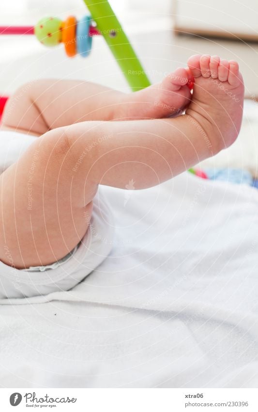 zum reinbeißen ;) Mensch Baby Kleinkind Mädchen Beine Fuß 1 0-12 Monate niedlich Farbfoto Textfreiraum unten Zehen Barfuß Liege Windeln