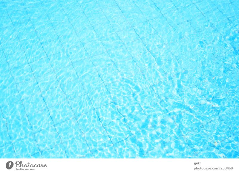 at the Pool Sommer blau mehrfarbig Außenaufnahme Menschenleer Tag Wasseroberfläche Fliesen u. Kacheln türkis Wellenform flach Schwimmbad Textfreiraum