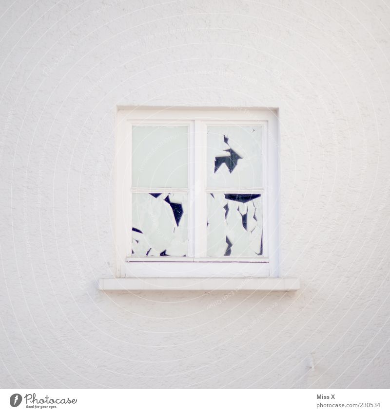 nur weiß Haus Mauer Wand Fenster puristisch Farbstoff gestrichen Sichtschutz Farbfoto Gedeckte Farben Außenaufnahme Menschenleer Textfreiraum links