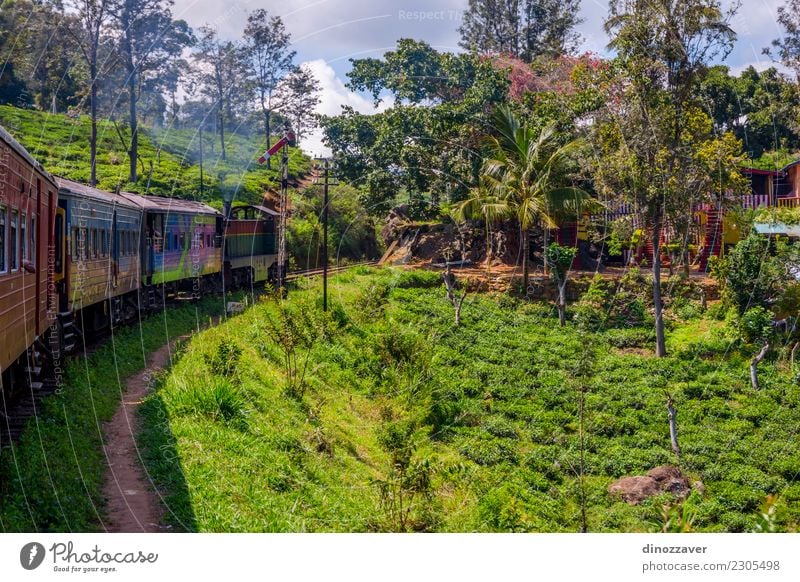Per Zug über Teeplantagen, Sri Lanka schön Ferien & Urlaub & Reisen Tourismus Sommer Berge u. Gebirge Natur Landschaft Wald Hügel Verkehr Eisenbahn grün ella