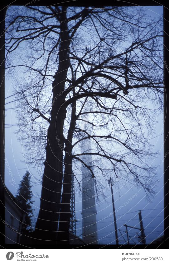Industrie Umwelt Winter schlechtes Wetter Nebel Baum Menschenleer Industrieanlage Fabrik authentisch dunkel gruselig kalt trashig trist träumen Traurigkeit