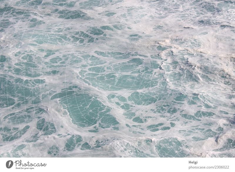 tosendes Meer Umwelt Natur Wasser Schönes Wetter Atlantik Bewegung kalt nass natürlich blau türkis weiß Kraft gefährlich ästhetisch bizarr einzigartig Leben