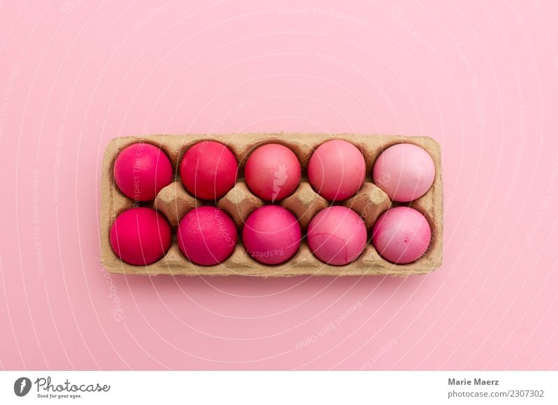 Ostereier ist Rosatönen gefärbt in Eierschachtel Lebensmittel Stil Design Ostern Essen Feste & Feiern liegen ästhetisch außergewöhnlich frisch trendy rund schön